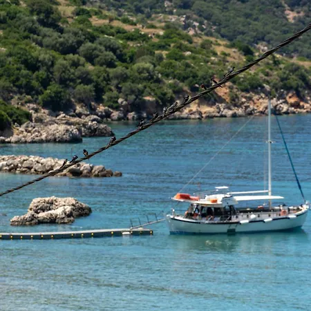 Beachfront Fteri Vila *