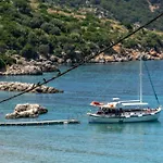 Beachfront Fteri Vila *